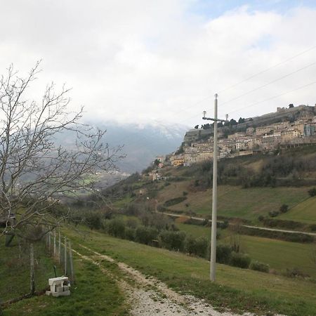 B&B La Collina Degli Ulivi Civitella Del Tronto Exterior foto